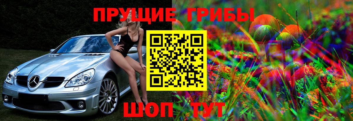 Псилоцибиновые грибы GOLDEN TEACHER  Вход с VPN  Надым 