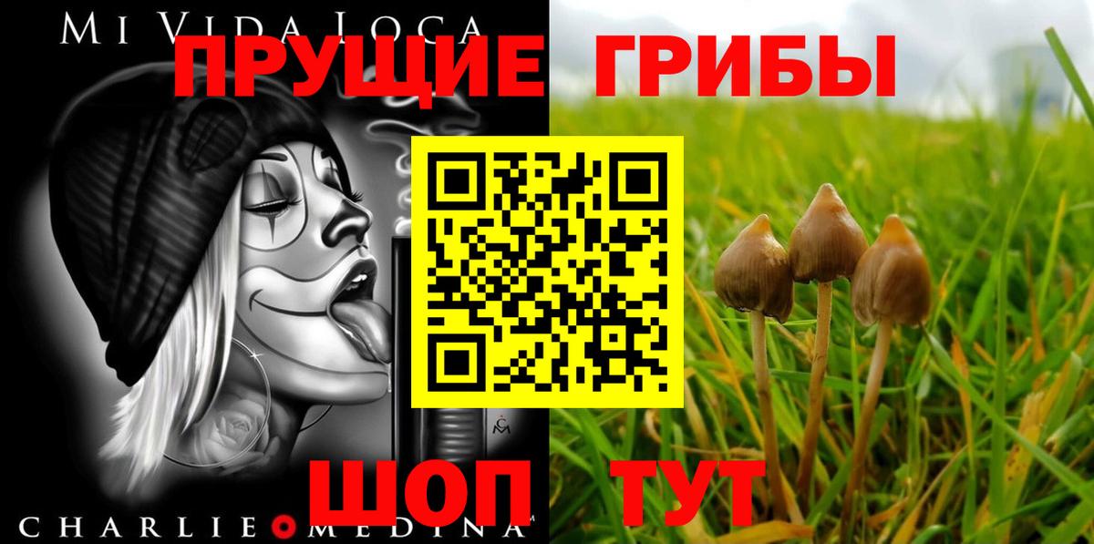Псилоцибиновые грибы ЛСД Надым